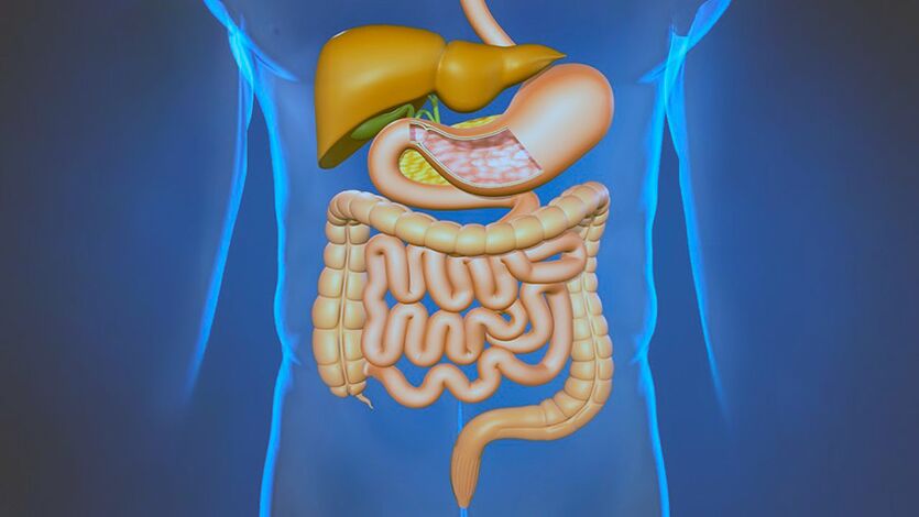 Enfermedades del sistema digestivo la causa del dolor debajo de los omóplatos. 