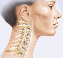 ilustración de la columna cervical